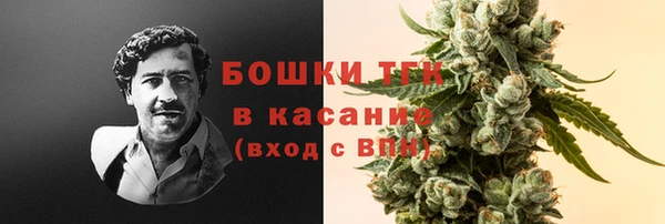 сатива Богородицк