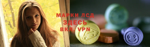 спайс Богданович