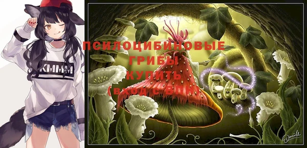 спайс Богданович