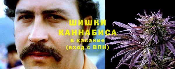 сатива Богородицк