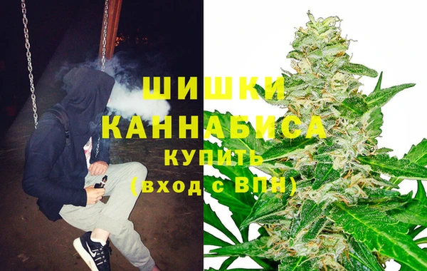 прущая мука Богородск