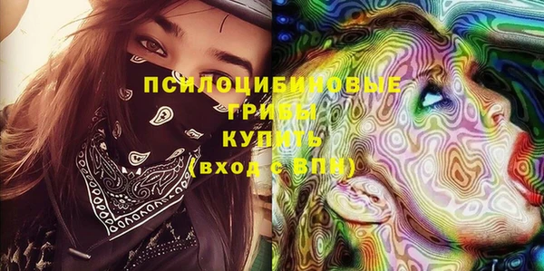 спайс Богданович