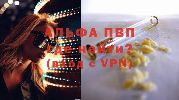 спайс Богданович