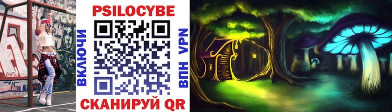 маркетплейс официальный сайт mega tor Галлюциногенные грибы Psilocybe Муравленко купить цена
